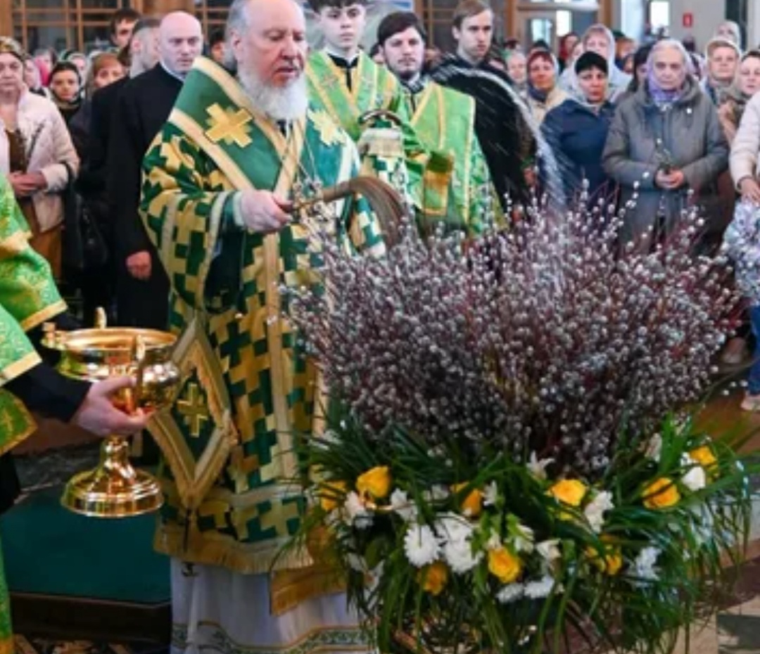 В свободном доступе.