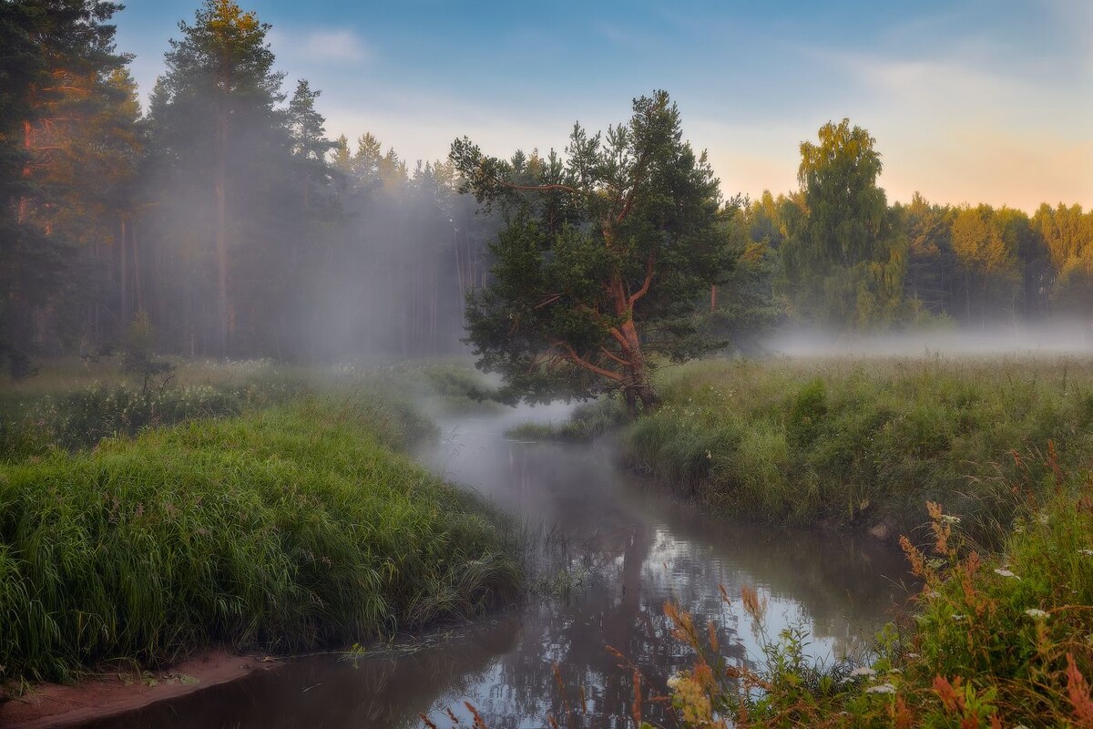 слова старшего брата звучали фальшиво, даже для него самого