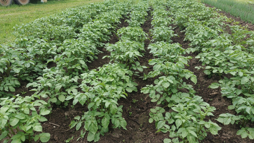    фото smilekaluga.ru