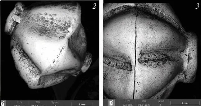   Источник изображения: ItRussia.Media