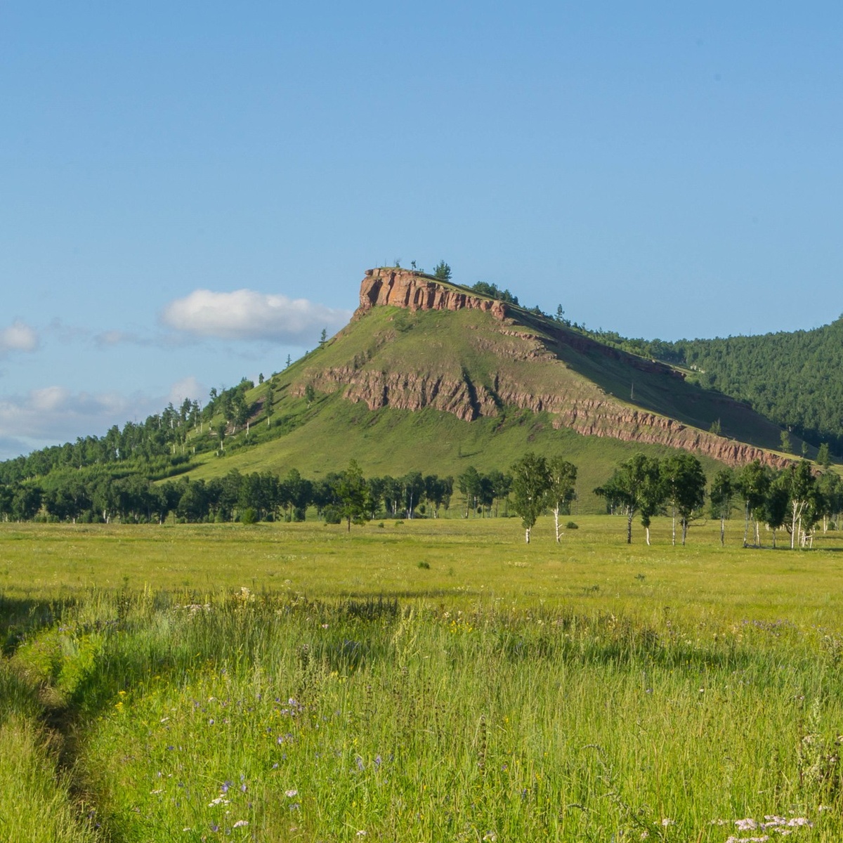 Фото из открытых источников