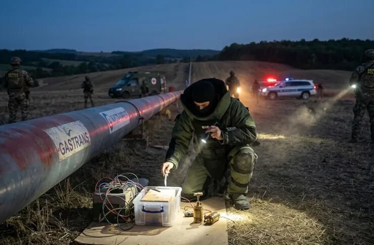    Фото: генерация ИИ / ГИПОРТ