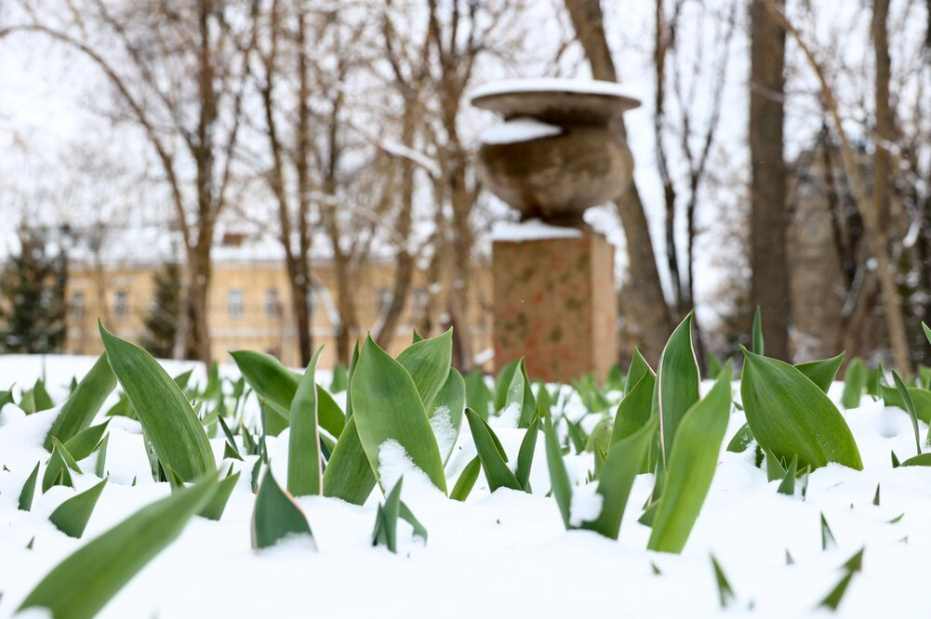    Чингаев Ярослав /Агентство «Москва»
