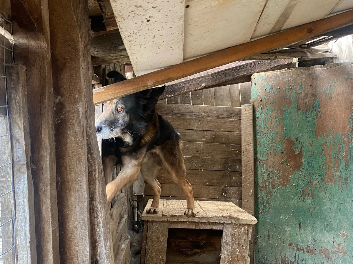 Вроде и дом у Графа был, но хозяевам он не был нужен