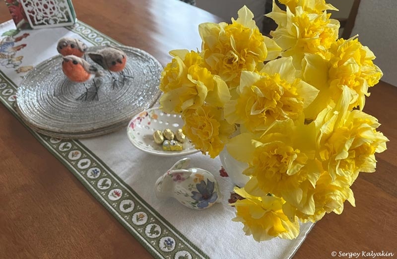 Нарцисс Dick Wilden