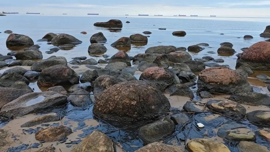    Разлив нефти обнаружили на берегу Финского залива в Кингисеппском районе Ленобласти Автор фото: t.me/ecology47