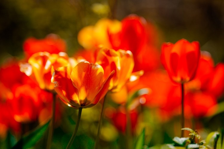    Фото: Геннадий Дьячук