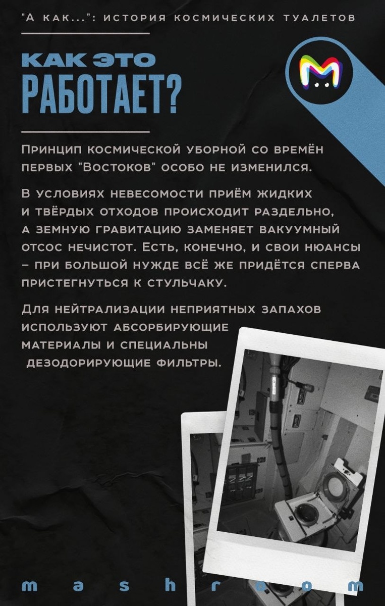    Фото: mashkomnata, источник: t.me