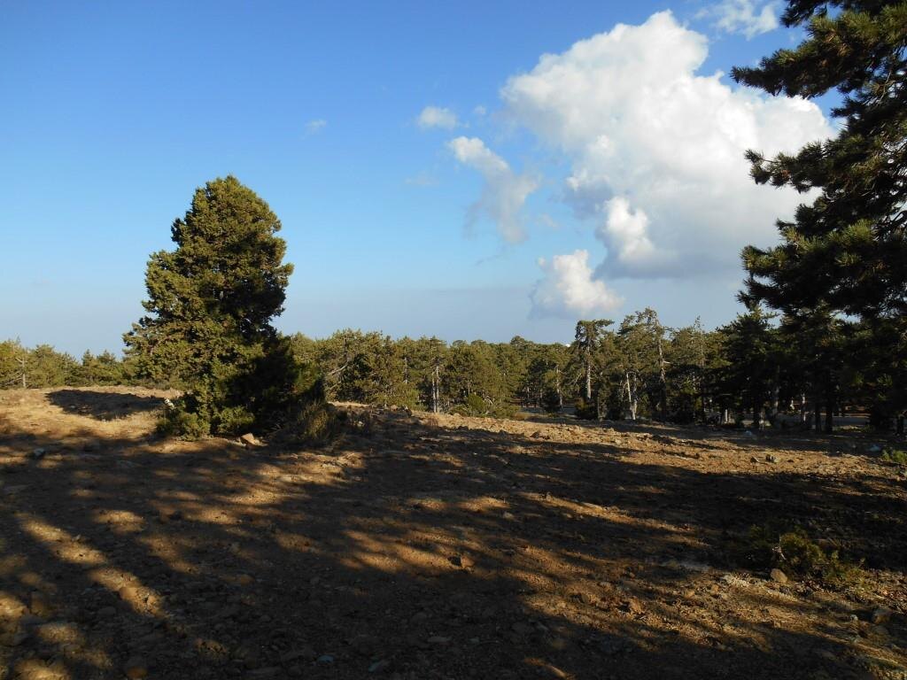 Фото из архива автора