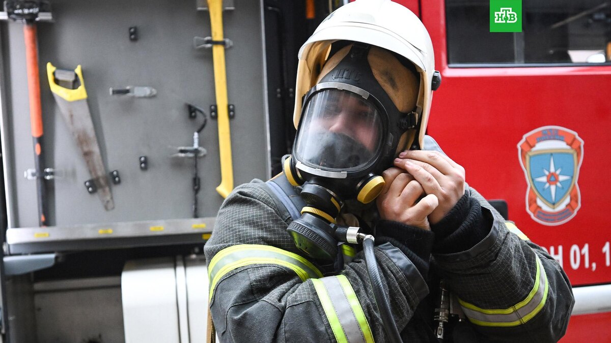    Фото: РИА Новости © 2026, Константин Михальчевский