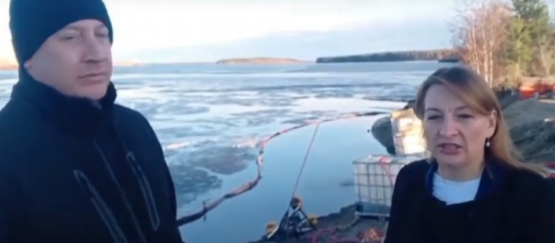    скрин видео