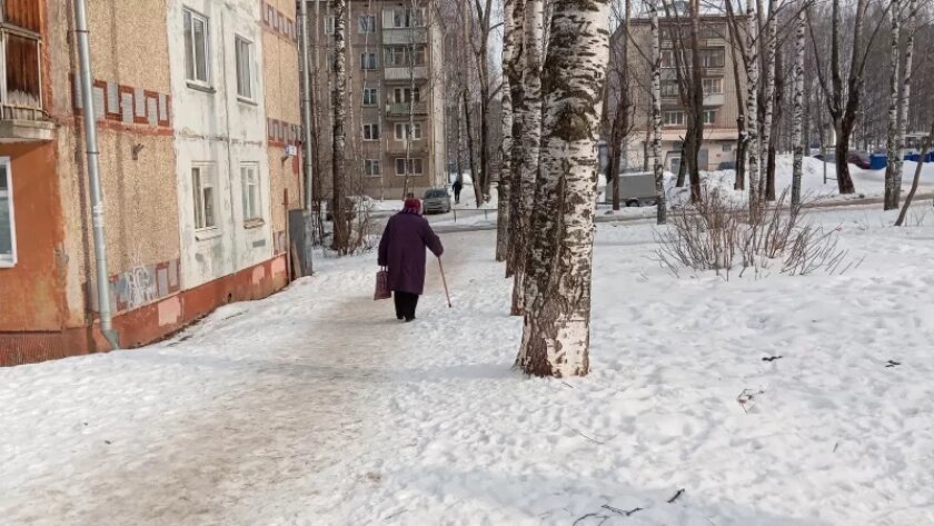    Фото prochepetsk.ru