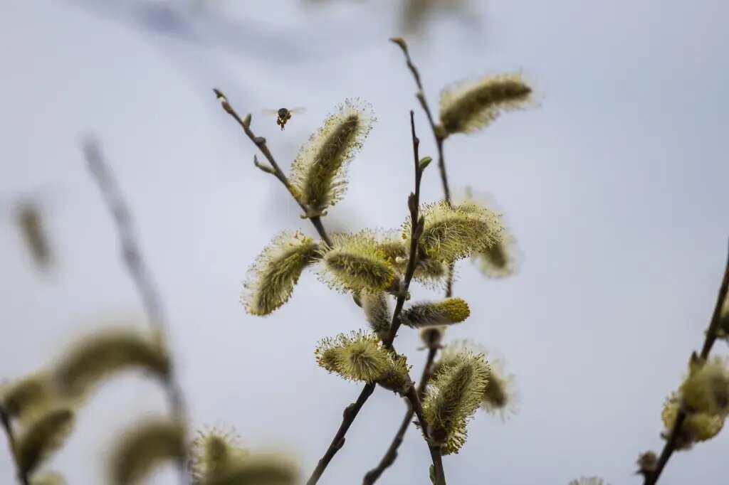    Фото из архива СовСибири