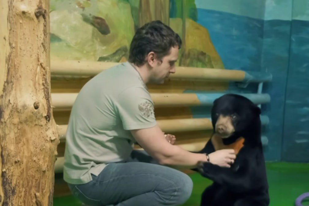    Фото: Новосибирский зоопарк