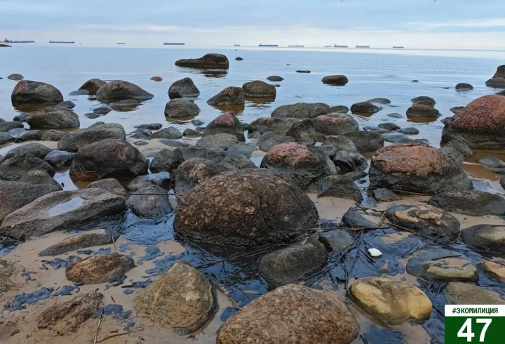 фото: Пресс-служба Ленинградской области