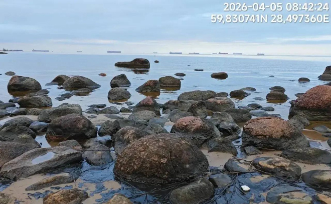    © https://t.me/ecology47/4098