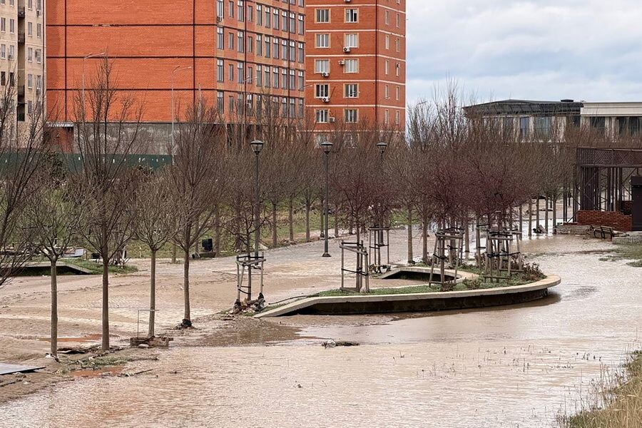     / Источник: © Гянжеви Гаджибалаев/ТАСС