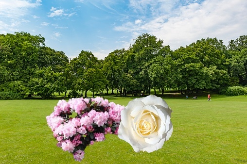 Коллаж автора