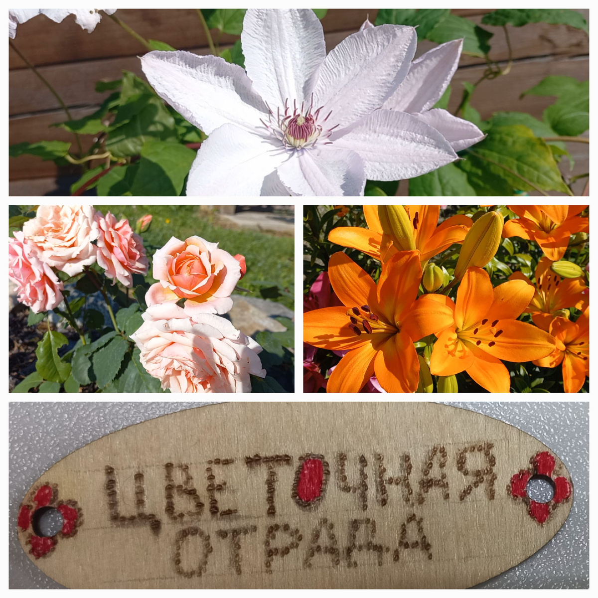 Коллаж автора