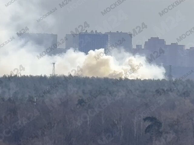    Фото: Москва 24