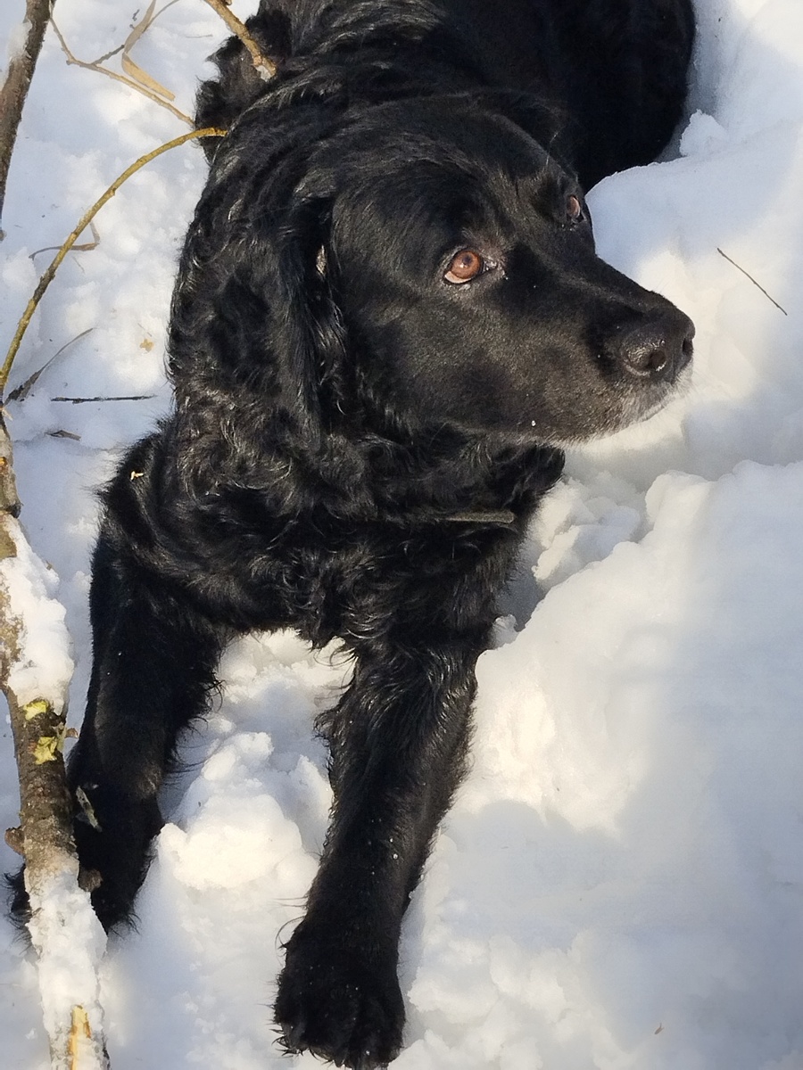 Долго жили мы в зиме, десять пять, и восемь, две...