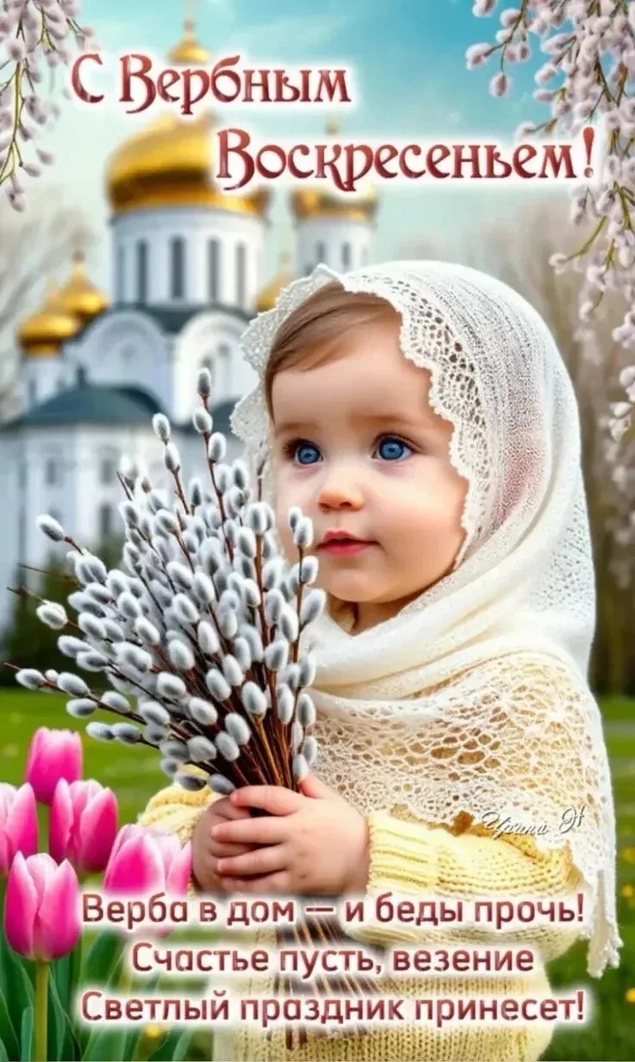 Фото из свободного доступа интернета