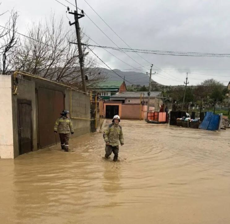    Telegram / @makhachkalaofficial