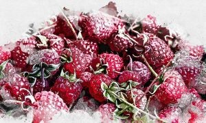 Изображение от azerbaijan_stockers на Freepik  📷
