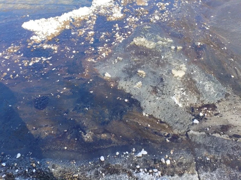    фото: © Министерство природных ресурсов и экологии РК