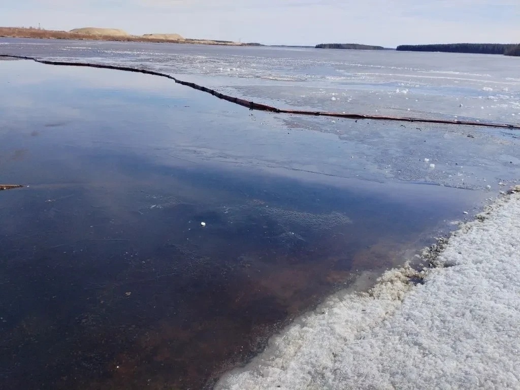    Стало известно, когда устранят утечку масла в Выгозере© Министерство природных ресурсов и экологии РК