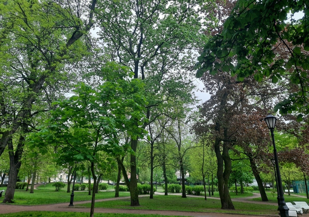 Алексеевский сад Санкт-Петербург