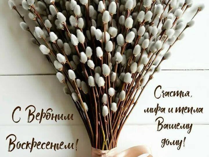 Светлый день сегодня! Обнимаю всем сердцем