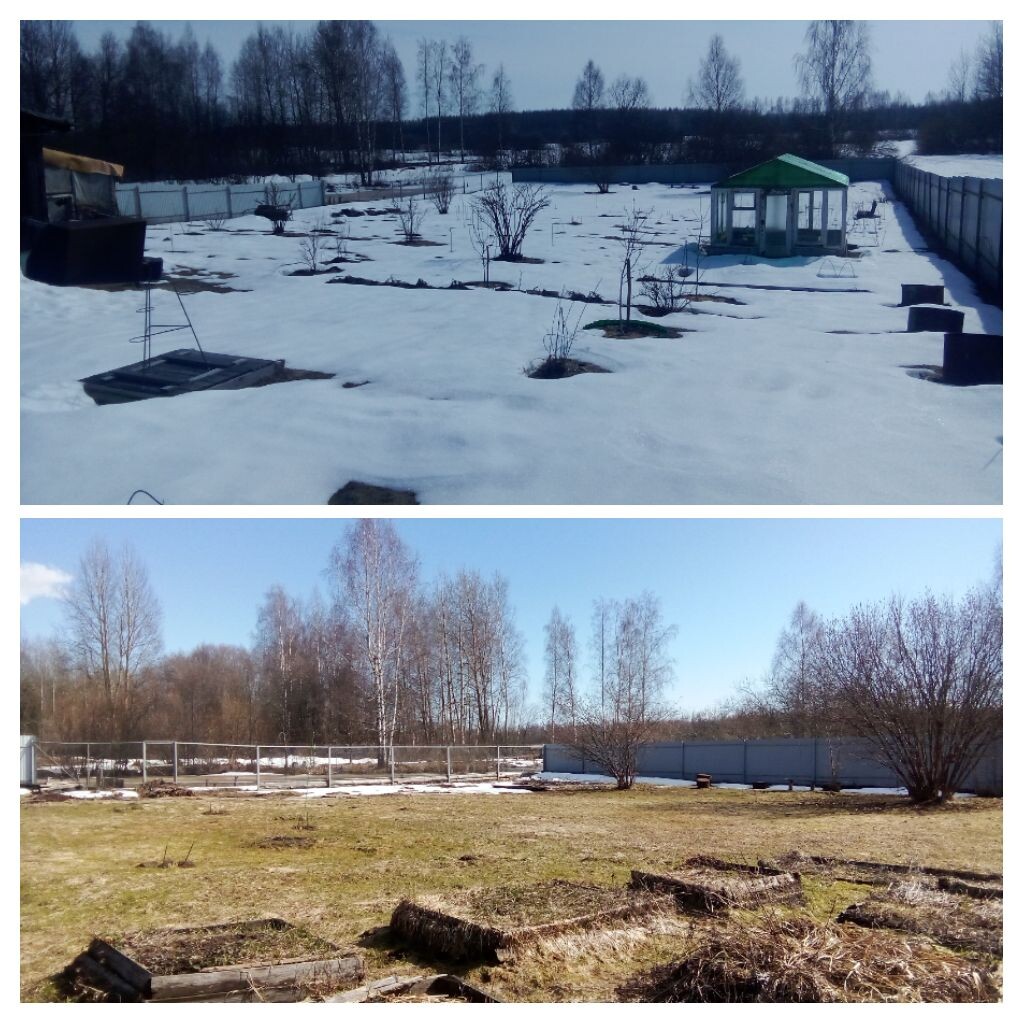 Для сравнения фото одного и того же угла участка (немного разный ракурс): было/стало.
