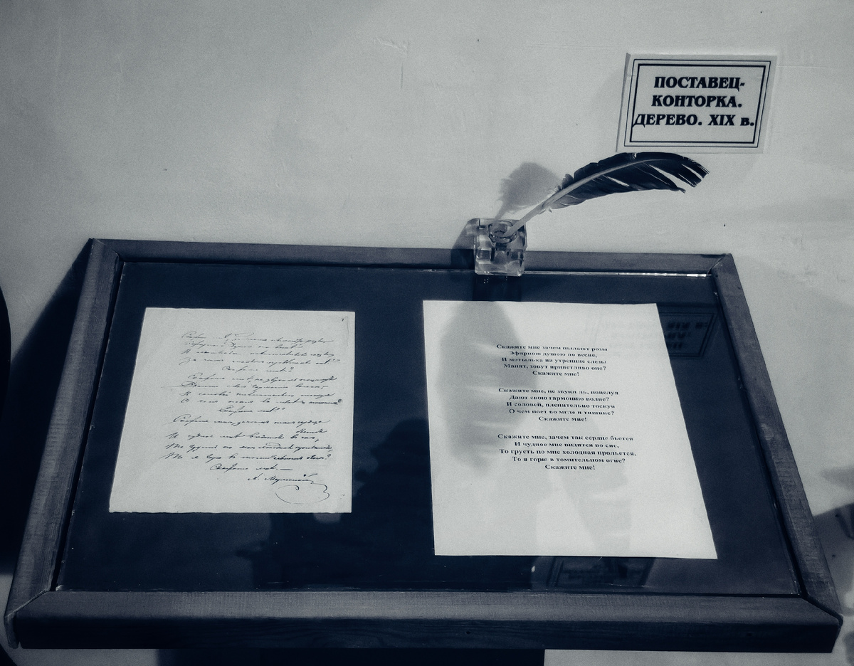 Фото автора. 