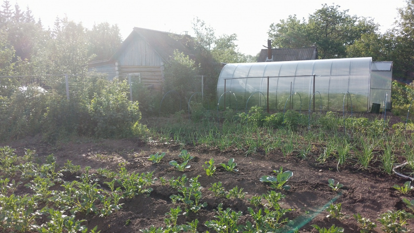    Фото редакции