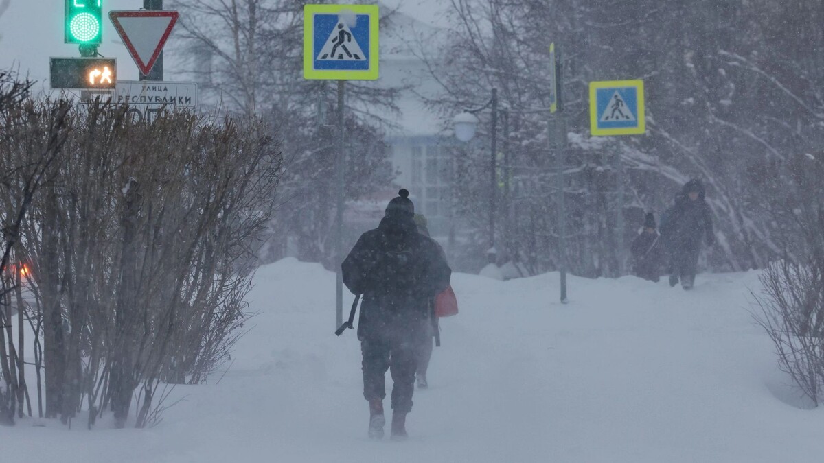    Фото: Андрей Ткачев/«Ямал-Медиа»