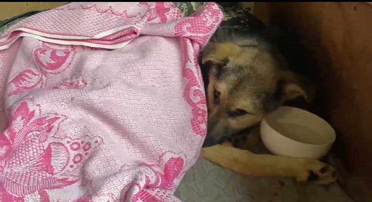 Джека больше нет 😭