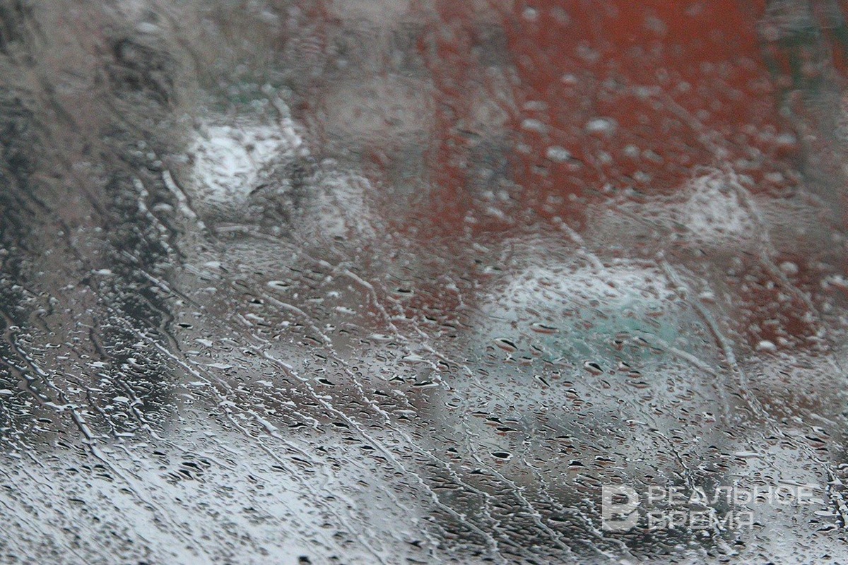   Михаил Захаров / realnoevremya.ru