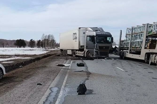    Фото: Полиция54 \ МАХ