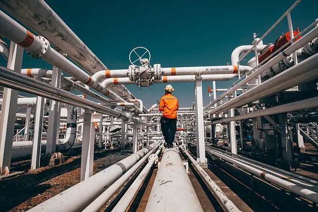    Источник: lenta.ru/ Ксения Ситникова