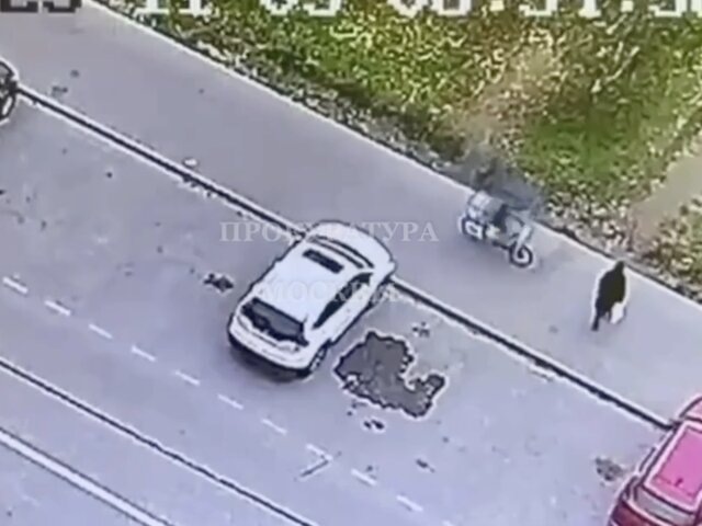    Фото: телеграм-канал "ПРОКУРАТУРА МОСКВЫ"