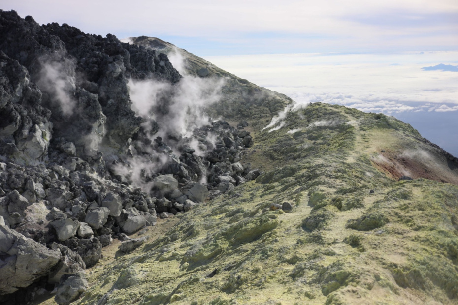    Александра Погиба/NEWS.ru