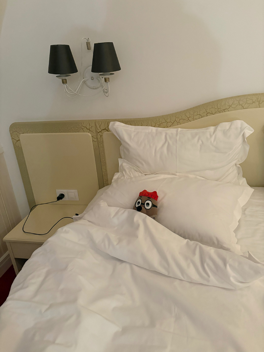 Енот, который последние годы сопровождает товарища везде