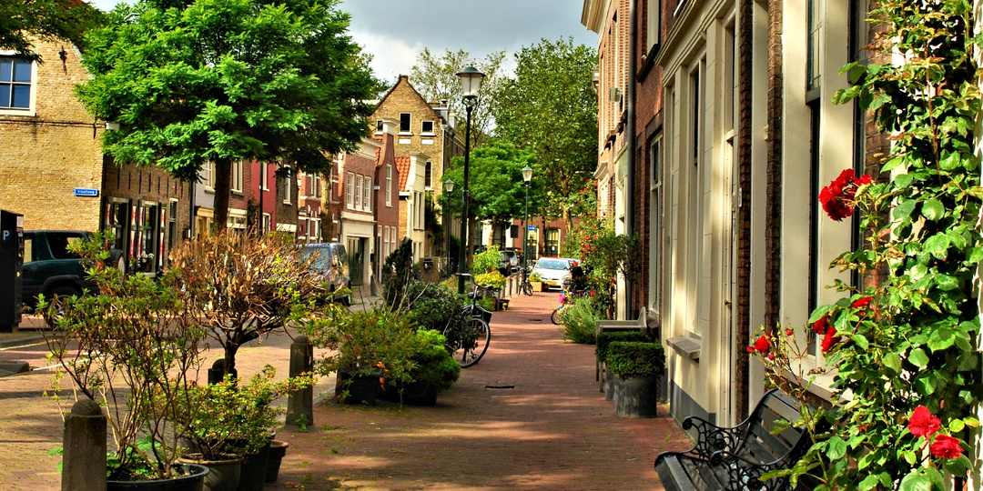 Гауда - это не только сыр...