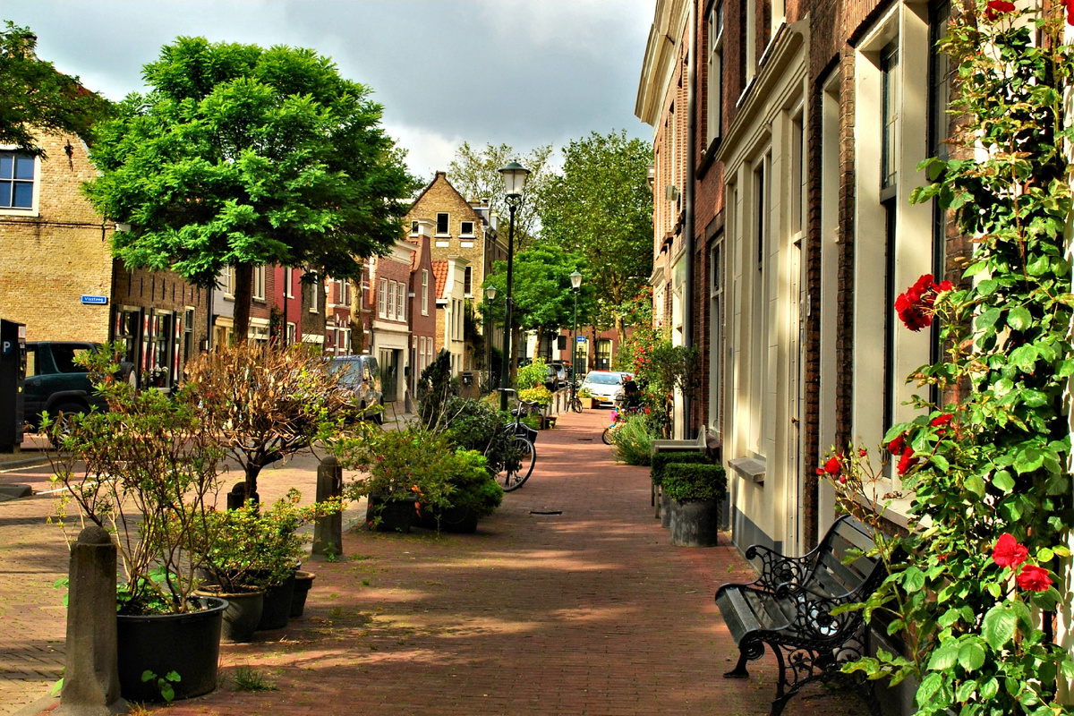 Гулять - не нагуляться