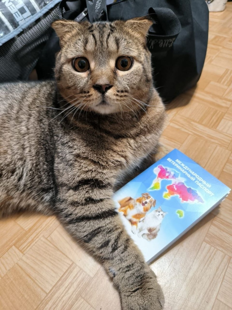 Ден первые дни дома.