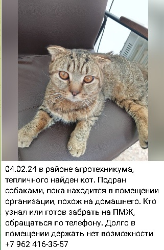 Вот таким нашли Дена