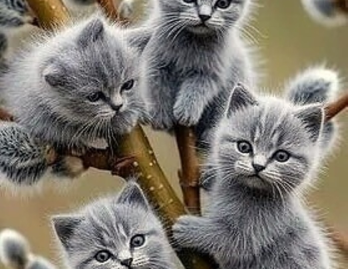 День Стольника в вербное воскресенье: 41 котик из приюта «Котомафия» ждёт вашей помощи!