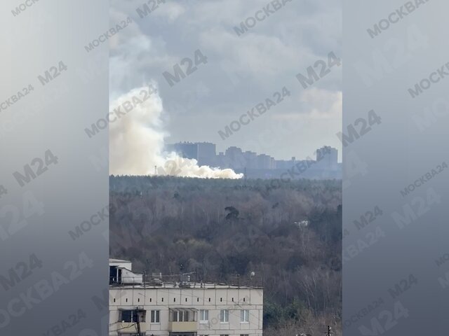    Фото: Москва 24