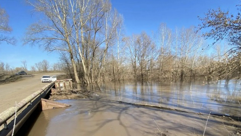    Фото: МАХ-канал «Администрация города Бузулука»